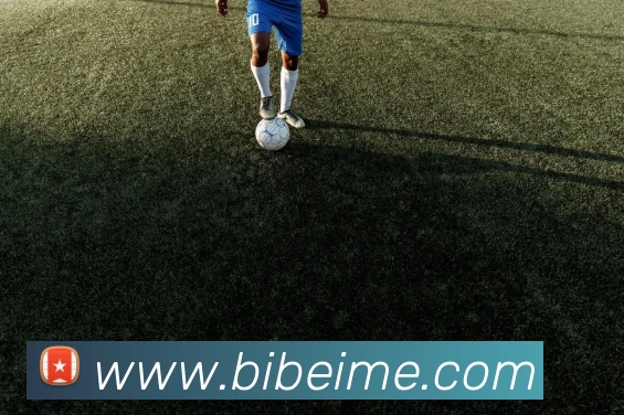 九游在线官方官网服务体系